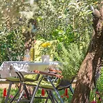 Oliva By Interhome * Póla