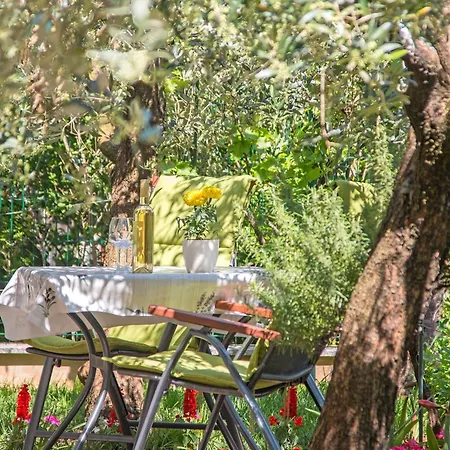 Oliva By Interhome * Pula