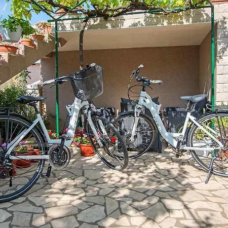 Apartment Oliva By Interhome