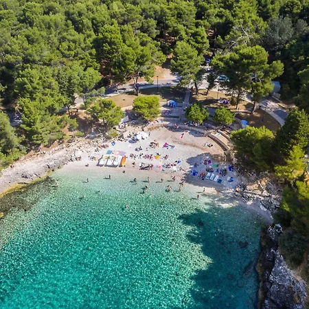 Oliva By Interhome Apartment *