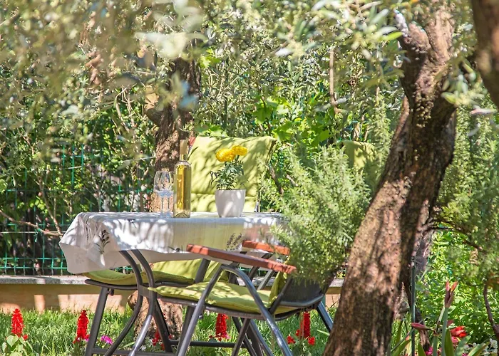 Oliva By Interhome * Póla